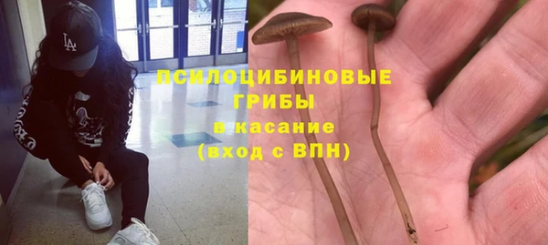 хмурый Куйбышев
