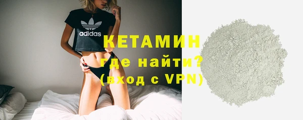 индика Кулебаки