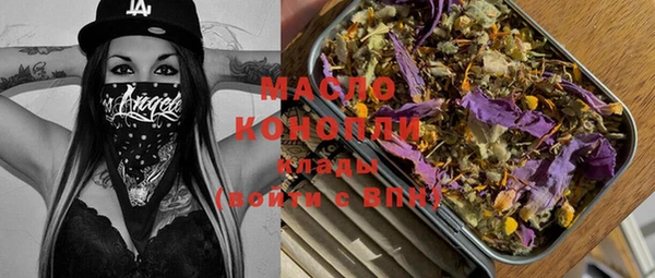 индика Кулебаки