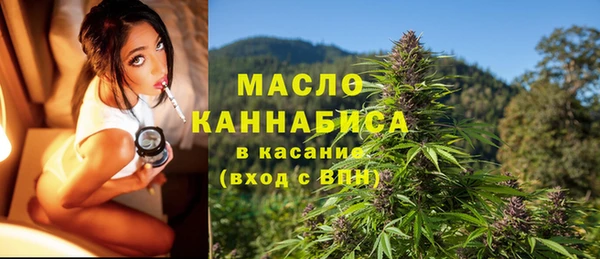 индика Кулебаки
