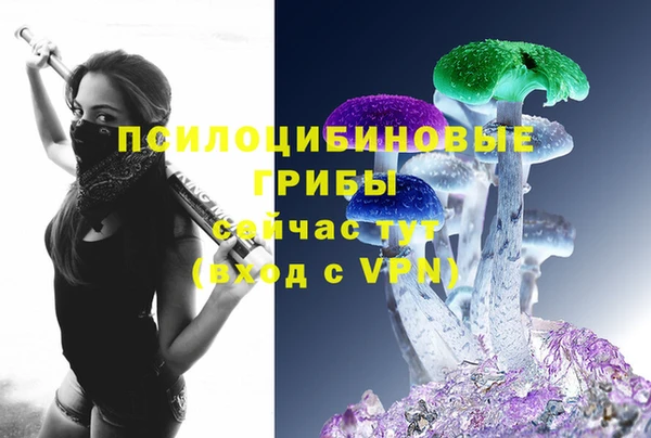 прущая мука Анжеро-Судженск