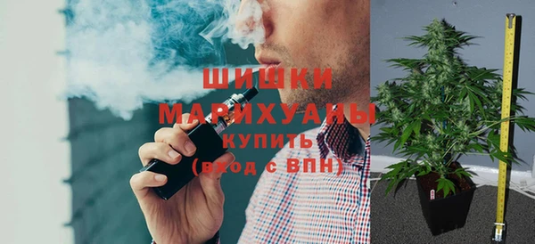 эйфоретик Анива