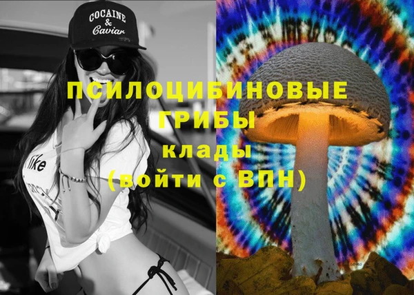 не бодяженный Апатиты