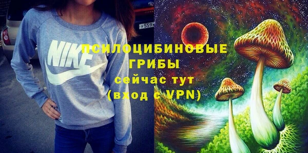 хмурый Куйбышев