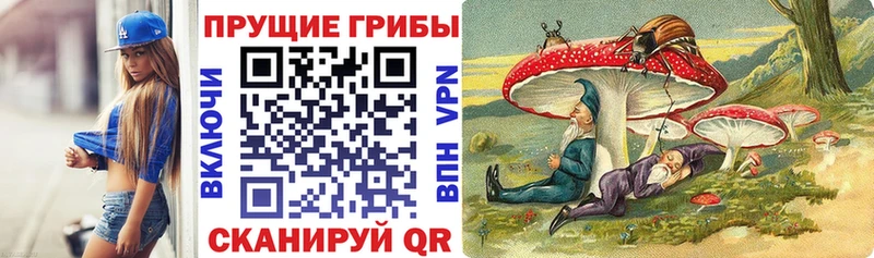 Псилоцибиновые грибы Psilocybe  цена   Липки 